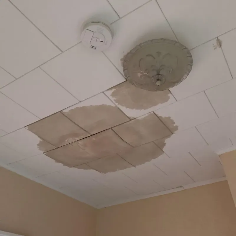 Ceiling Water Damage Repair in Duson, LA