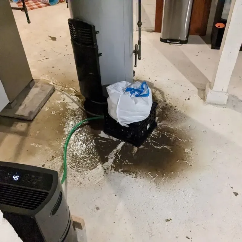 Sewage Backup Cleanup Service in Duson, LA